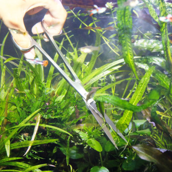 Proscape S20 Straight