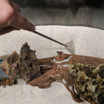 Proscape SP30 Straight