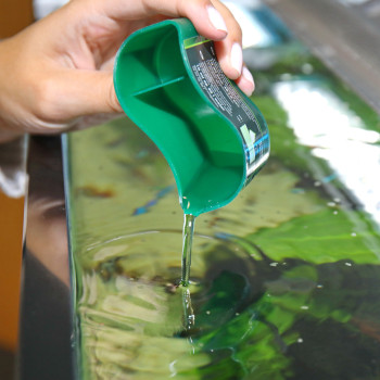 Proflora Ferropol Proflora Ferropol