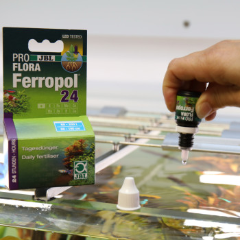 Proflora Ferropol 24