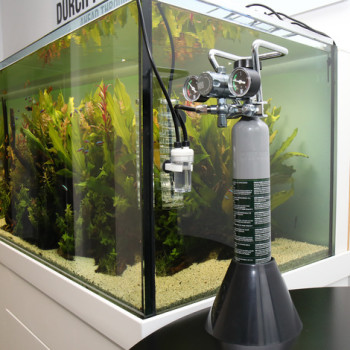 Proflora Taifun Spiral 10 Proflora Taifun Spiral 10