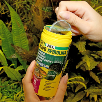 ProNovo Spirulina Grano