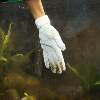 Proscape cleaning Glove