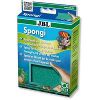 Spongi Spongi