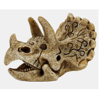Skull Triceratops Small