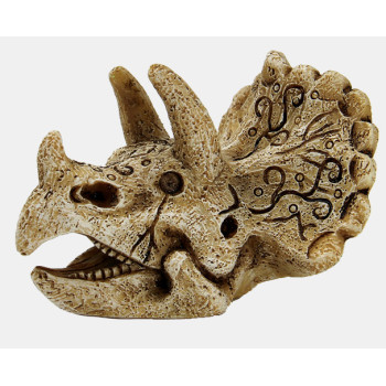 Skull Triceratops Small