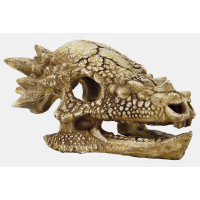 Skull T Rex Medium