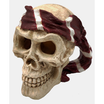 Skull Red Pirate