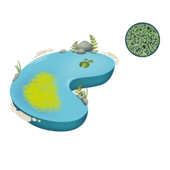 Cristalclear Cristalclear